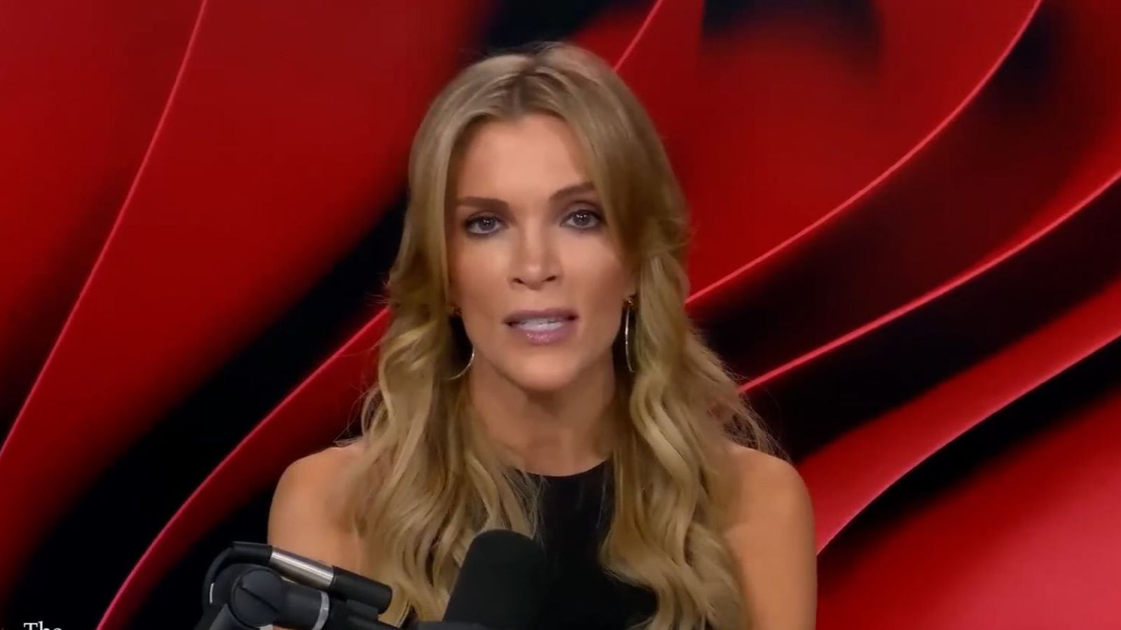 Megyn Kelly appears to question whether Epstein was a paedophile, triggers backlash