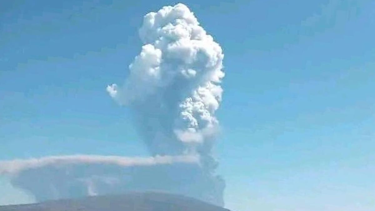 FE Google Preferred Button