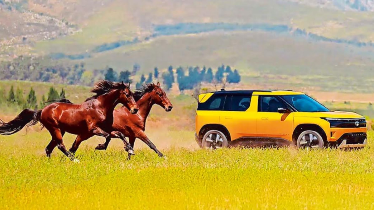 FE Google Preferred Button