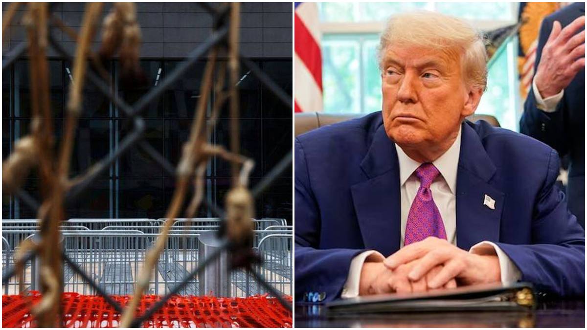 In pictures: PM Modi shares glimpses of spectacular Dev Deepawali celebrations in Varanasi