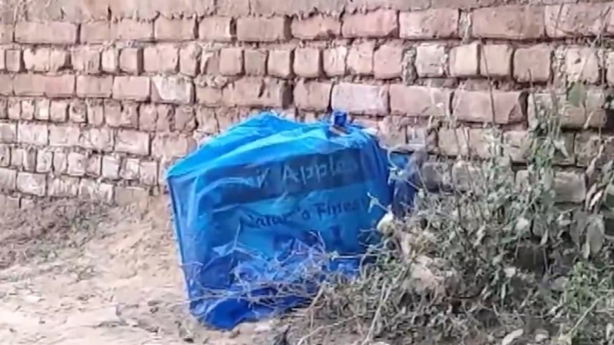 In pictures: PM Modi shares glimpses of spectacular Dev Deepawali celebrations in Varanasi