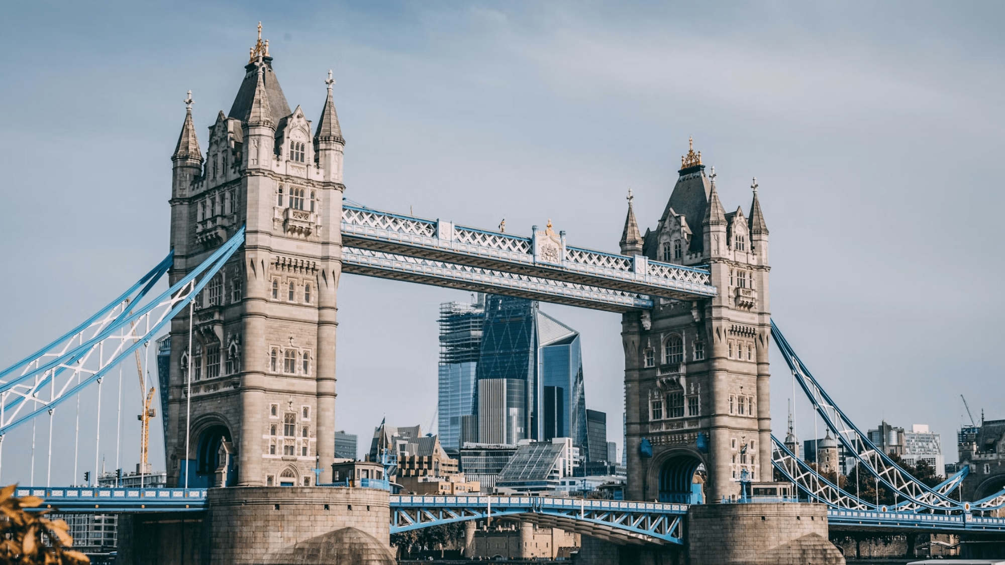 FE Google Preferred Button