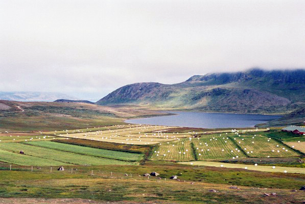 欧盟将向美国提供关键矿产合作伙伴关系以遏制中国