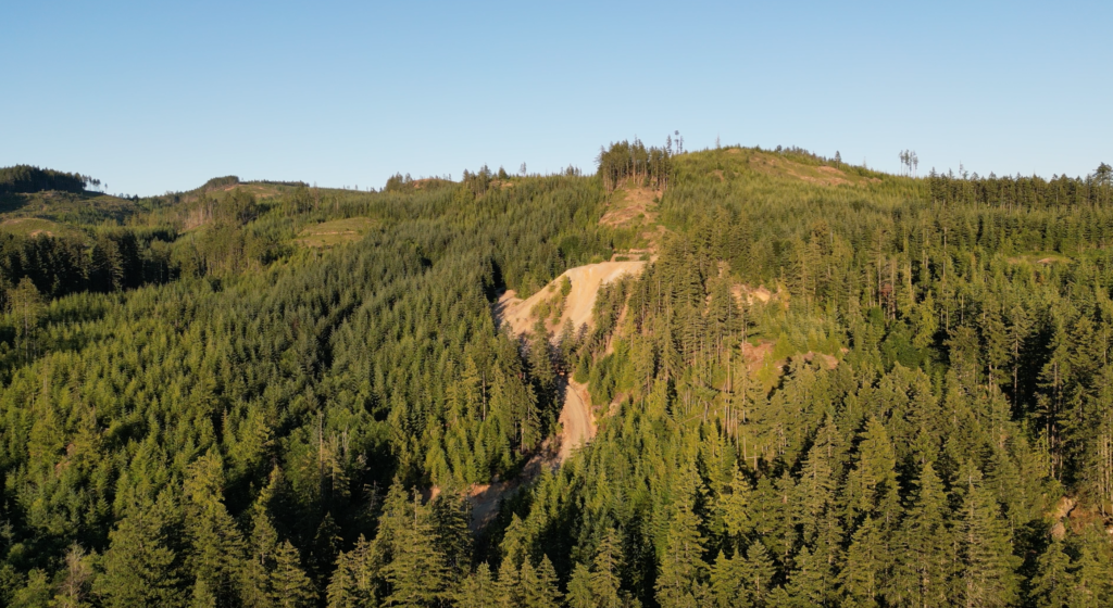 Sasquatch Resources 着眼于 Mount Sicker 废石开采黄金并清理遗留污染